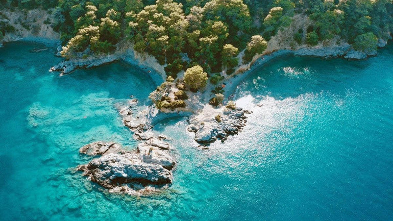 
                            Muğla Fiat Yedek Parça ve Aksesuarları - HaniBenimParçam
                        
