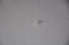 Fiat Linea Dış Dikiz Ayna Üçgen Bakalit Klips Orjinal Opar 82419455 - HaniBenimParçam