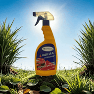 EJolly Araç Bakım Seti Kapsamlı - HaniBenimParçam